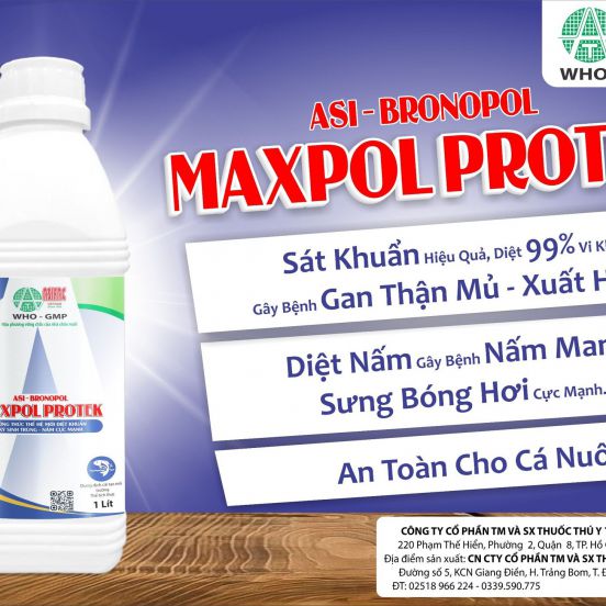 Asi - Bronopol maxpol protek- Đặc trị xuất huyết, lở loét