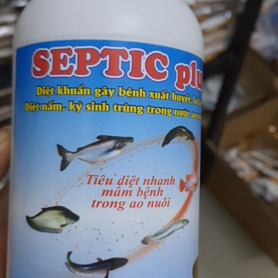 Septic Plus - Thuốc điều trị bệnh xuất huyết, ký sinh trùng, nấm trên thủy sản