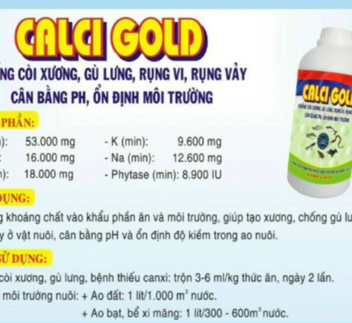 CALCI Gold