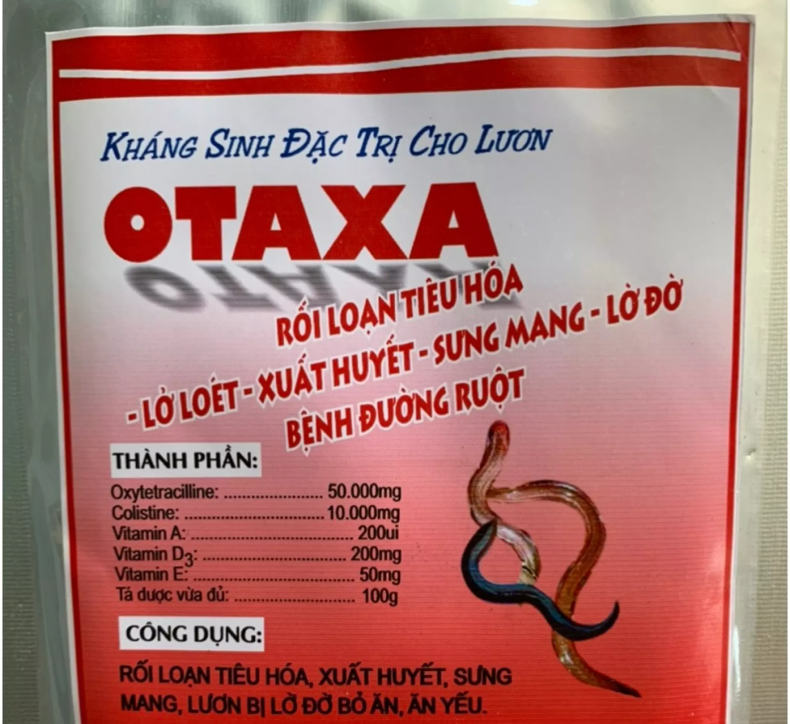 Otaxa kháng sinh đặc trị cho con lươn