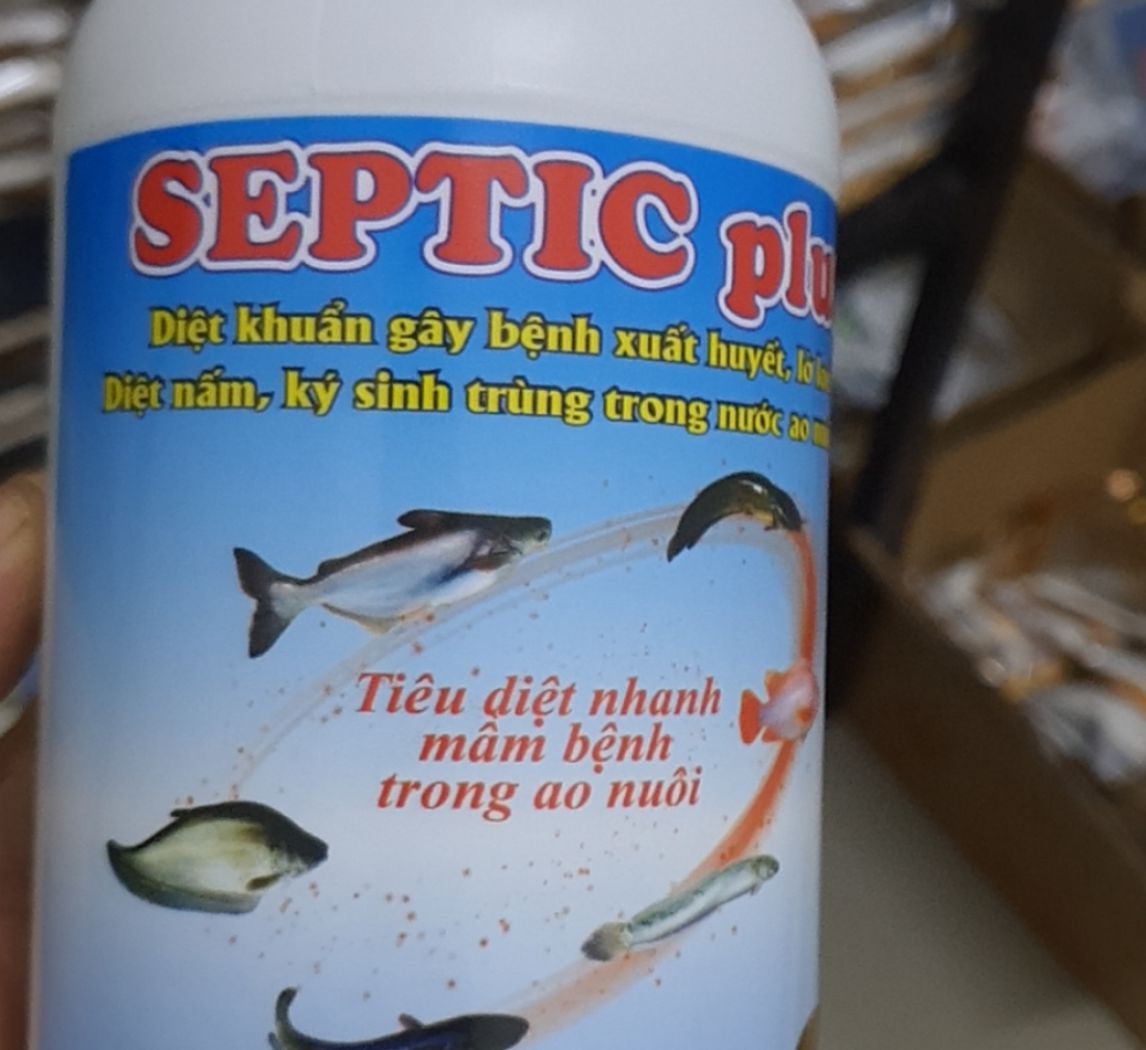 Septic Plus - Thuốc điều trị bệnh xuất huyết, ký sinh trùng, nấm trên thủy sản