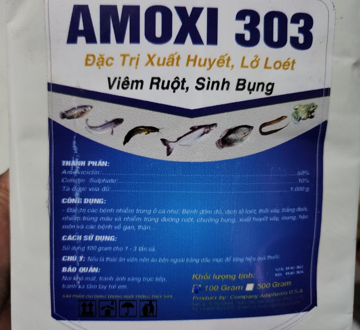 Amoxi 303 - Đặc trị viêm ruột, xuất huyết, lở loét, sình bụng