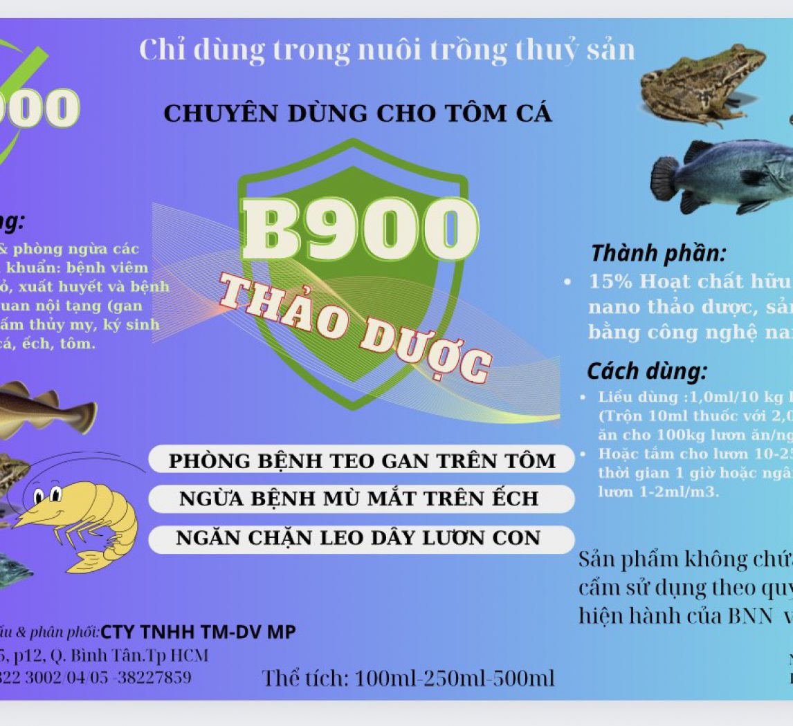 B900 - Tái tạo gan cho lươn chai 100ml