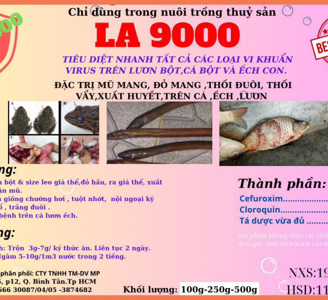 LA9000 - Thuốc chuyên trị bệnh nhiểm khuẩn trên lươn