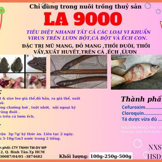 LA9000 - Thuốc chuyên trị bệnh nhiểm khuẩn trên lươn