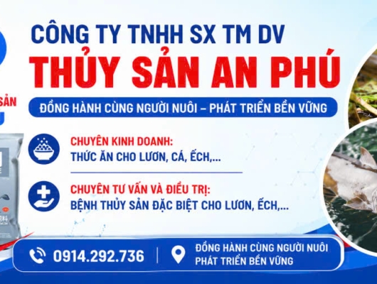 Thử nghiệm thải độc kháng sinh cho lươn để xuất khẩu | 0914.292.736 