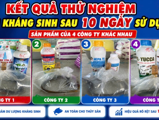 Kết quả sai 10 ngày sử dụng thuốc thải kháng sinh