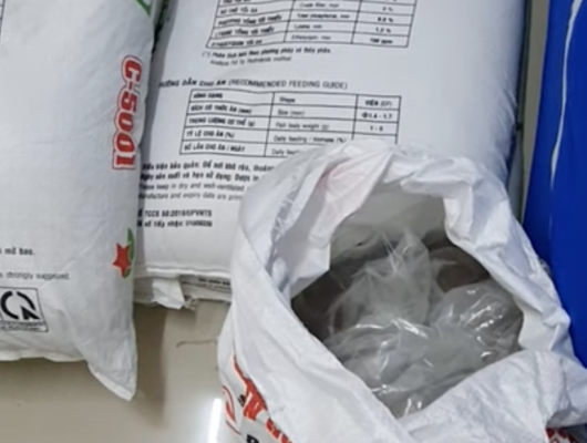 Thức ăn cho lươn hiệu UP đạm cao | 0914.292.736