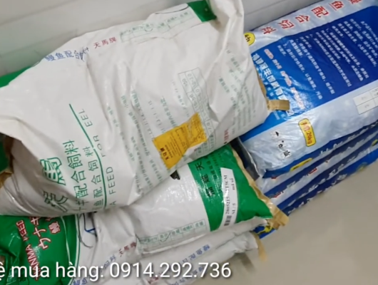 Tổng hợp các loại thức ăn cho lươn bột 0914292736