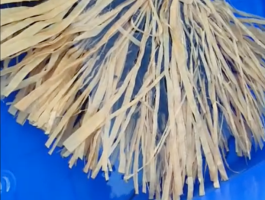 Lý do lươn nuôi hoài không lớn và cách phòng trị | 0914292736