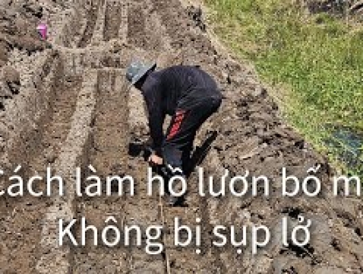 Hướng dẫn kỹ thuật làm hồ lươn bố mẹ cho đẻ | 0914.292.736