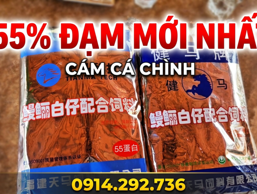 Cám cá chình Thiên Mã 55% đạm | 0914.292.736 