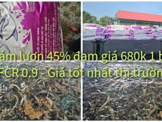 Thức ăn cho lươn 45% đạm, hệ số chuyển đổi 0.9, giá 680k/bao có vận chuyển toàn quốc | 0914.292.736 
