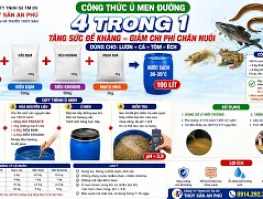 Giải pháp phòng ngừa bệnh hiệu quả cho lươn, cá, tôm,... hiệu quả mà chi phí lại thấp tối đa