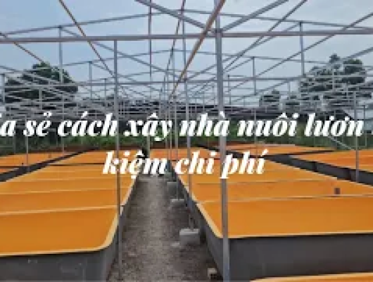 Chia sẽ cách xây nhà nuôi lươn giá rẻ, tiết kiệm hơn 70% so với làm nhà tiền chế | 0914.292.736 