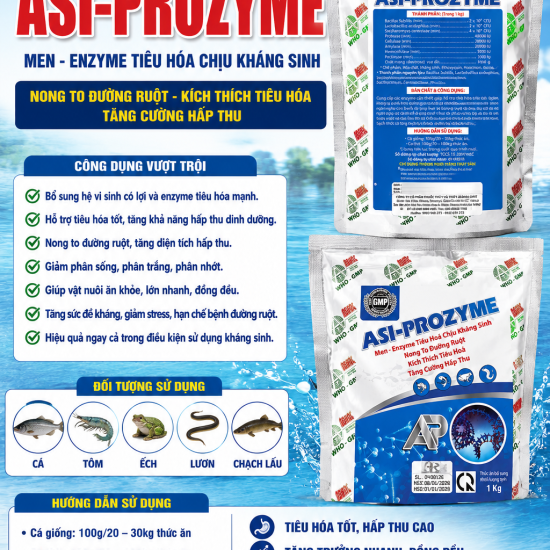 ASI-PROZYME – MEN VI SINH & ENZYME TIÊU HÓA CHỊU KHÁNG SINH