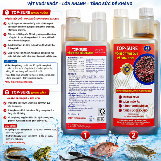 TOP-SURE – VỖ BÉO TRÙN QUẾ & SỮA NON
