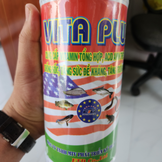 Vita Plus - ngăn ngừa tình trạng lươn bị xỉu