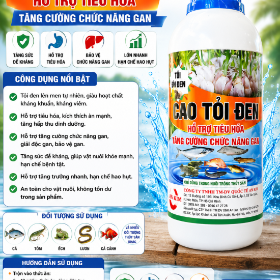 CAO TỎI ĐEN – TĂNG SỨC ĐỀ KHÁNG, HỖ TRỢ TIÊU HÓA, BẢO VỆ CHỨC NĂNG GAN
