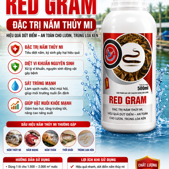 RED GRAM – GIẢI PHÁP ĐẶC TRỊ NẤM THỦY MI CHO LƯƠN