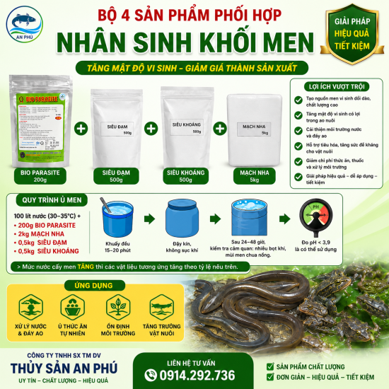 Bộ Men ủ cho lươn cá ăn kết hợp tạt ao