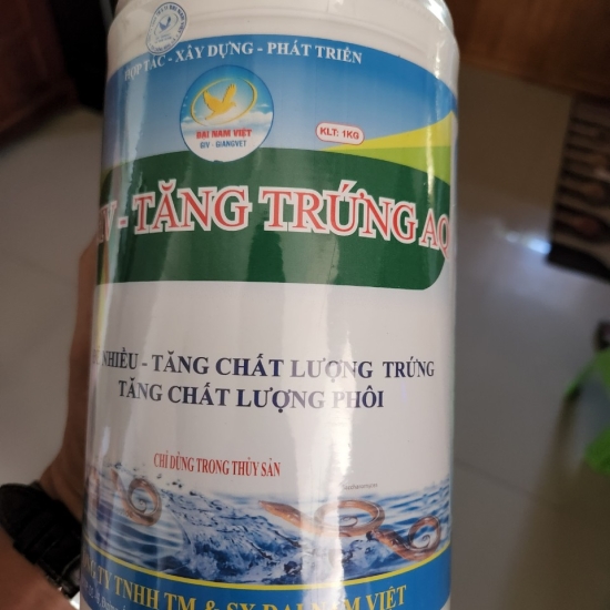 Kích thích lươn đẻ nhiều, tăng chất lượng trứng, tăng chất lượng phôi