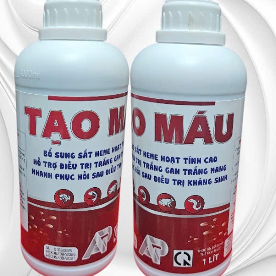 TẠO MÁU B12 - Tăng sức kháng bệnh