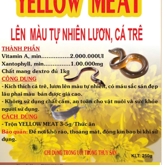 Tạo vàng cho lươn - Vàng từ trong thịt gói 500g